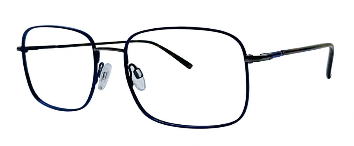 Stetson Stainless SSS603 Eyeglasses - Noir/gold - view 4